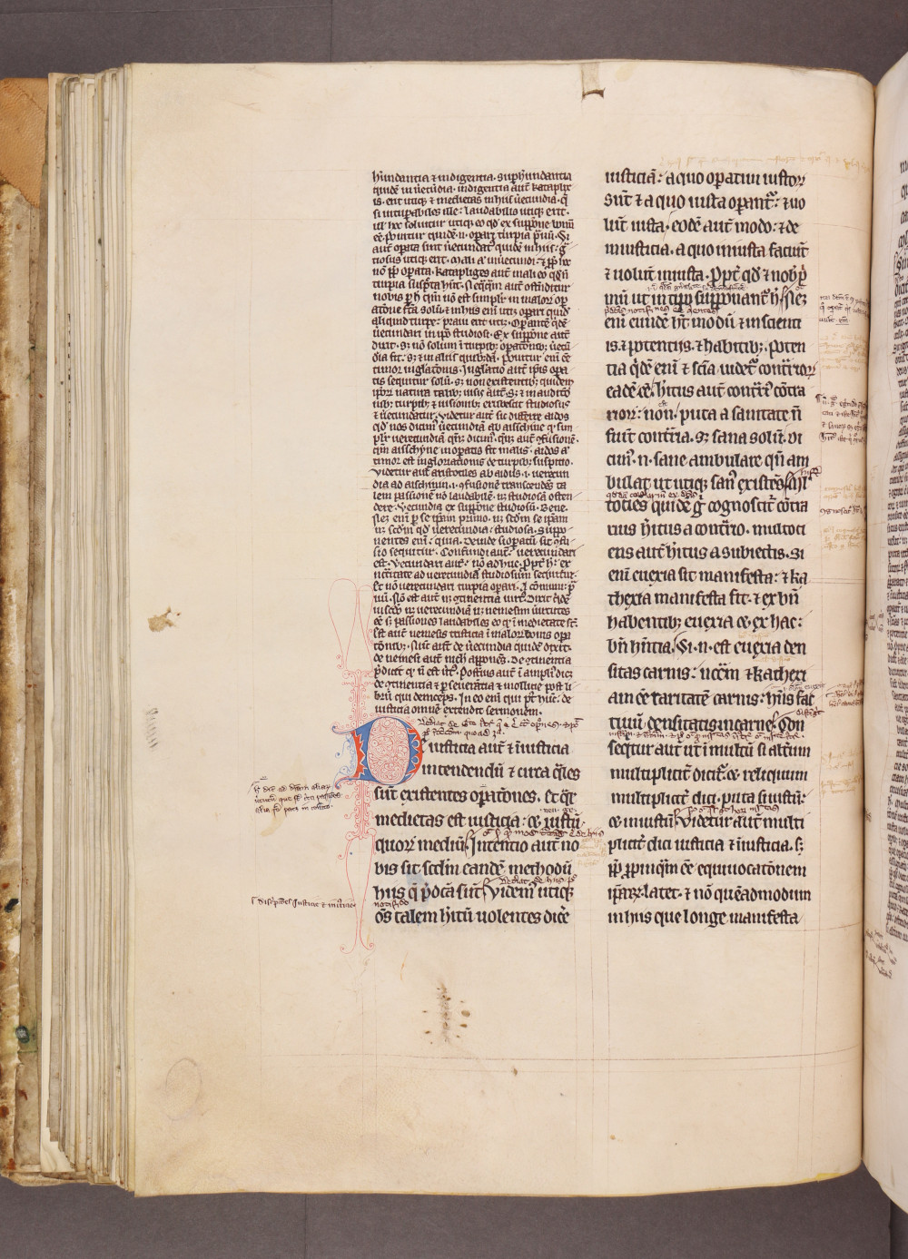 Folio 82 verso